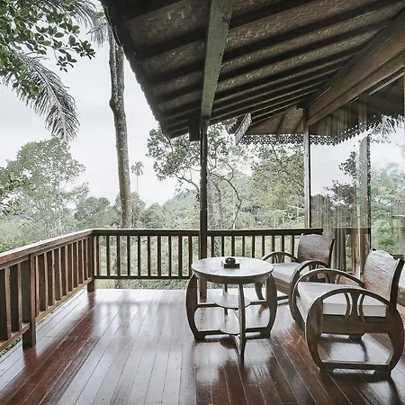 Hotel Sunia Jungle